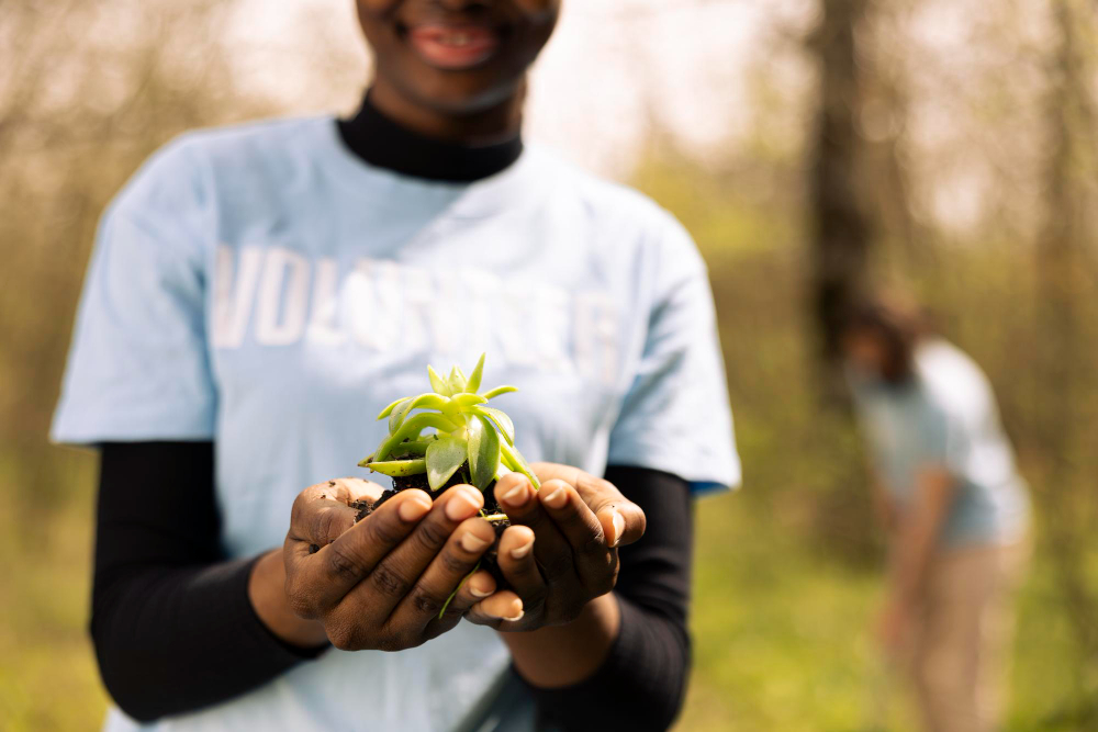 Top 6 Eco-friendly Practices for Remote Workers